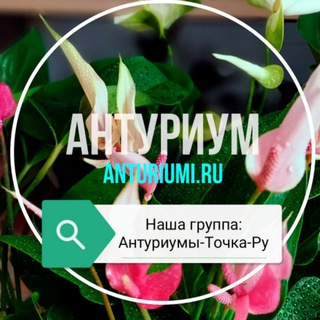 Логотип uhod_za_anthurium