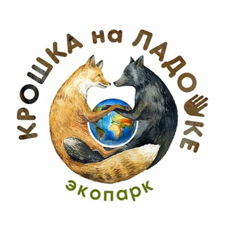 Логотип канала zoo_kroshka_na_ladoshke