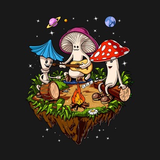 Логотип канала amanita_ru