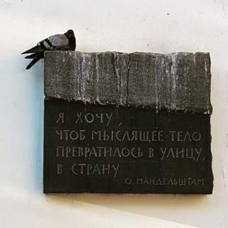 Логотип bird_on