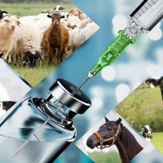 Логотип veterinariya_vetfarma_veterinar