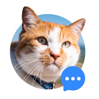 Логотип канала cat_the_most_chat