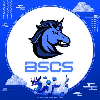 Логотип канала bscsdex_media