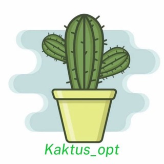 Логотип OPT_KAKTUS