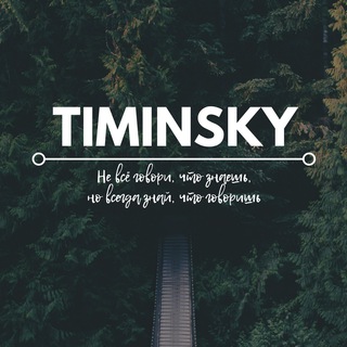 Логотип timinsky