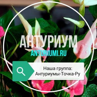 Логотип канала AAAAAFfw66wUHsFlhzGjyw