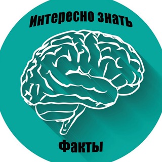 Логотип канала interesnoznat_fact