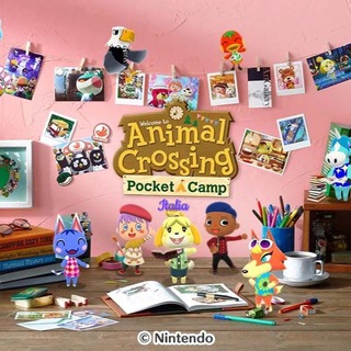 Логотип канала animalcrossingpocketcampita