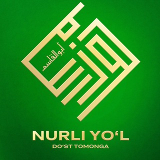 Логотип nurli_yol