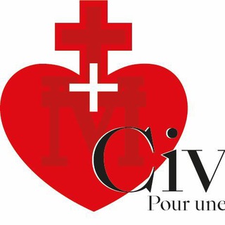 Логотип civitas_suisse