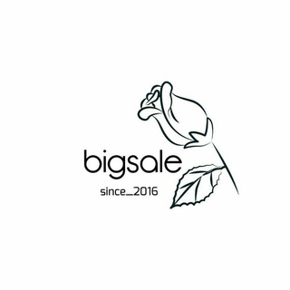 Логотип канала bigsale22