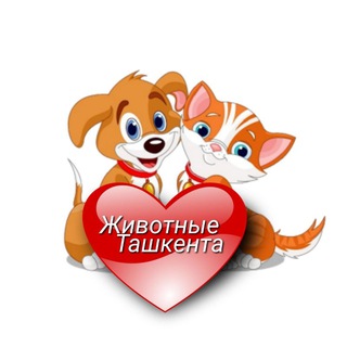 Логотип канала jivotnie_tashkenta