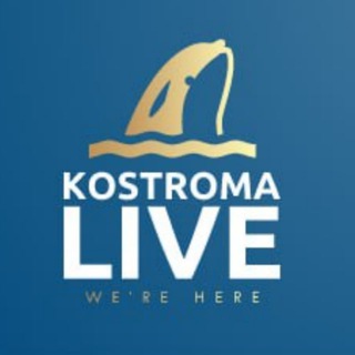 Логотип канала kostroma_live44