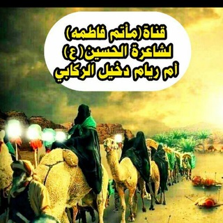 Логотип hussainn11