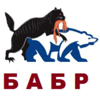 Логотип babr24