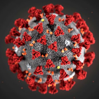 Логотип канала coronavirus_19_news