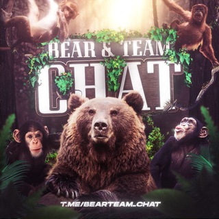 Логотип канала bearteam_chat