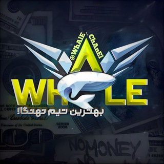 Логотип канала whale_chanel