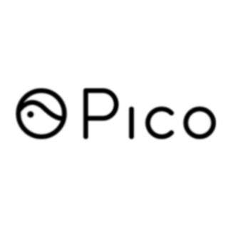 Логотип picovrgames