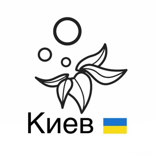 Логотип канала kiev_elfbar