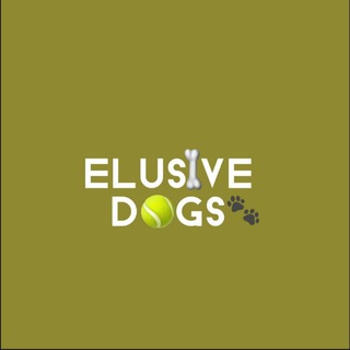 Логотип канала elusivedogss