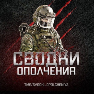 Логотип канала svodki_opolcheniya_chat