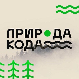 Логотип канала natureofcodee