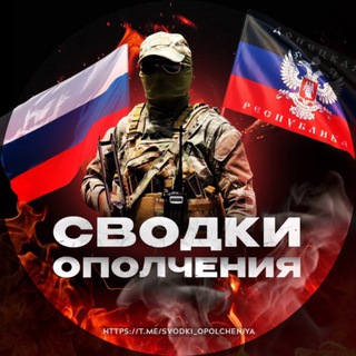 Логотип канала svodki_opolcheniya