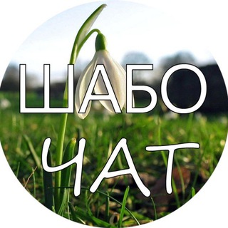 Логотип канала shabo_chat
