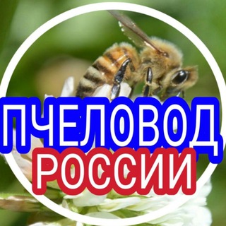 Логотип pchelovod_rf