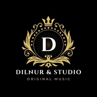 Логотип канала dilnurprofissionalstudio