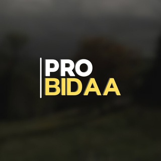 Логотип канала pro_bidaa