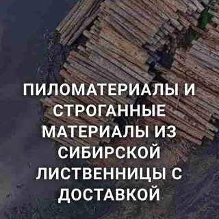 Логотип канала timber_expert