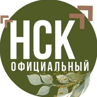 Логотип канала nvkbofficial