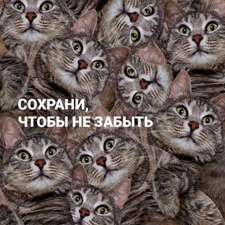 Логотип канала coxpaHu_plz