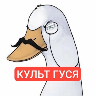 Логотип канала cult_goose