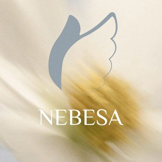 Логотип nebesa_ua