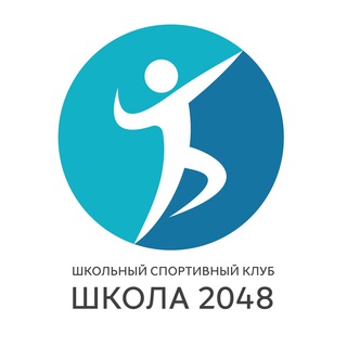 Логотип канала schoolsportsclub2048