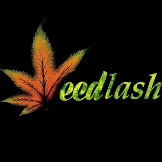 Логотип канала weedlash