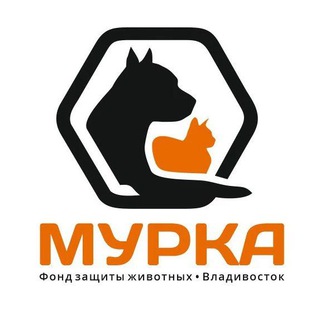 Логотип канала fond_murka