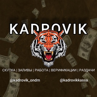 Логотип kadrovik_ondm