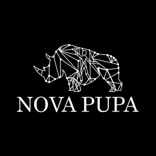 Логотип канала novapupaannouncement