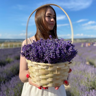 Логотип канала freelance_valeria1