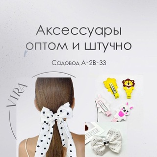 Логотип канала accessories_sadovod