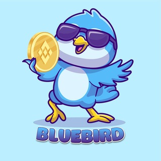 Логотип канала bluebirdportal