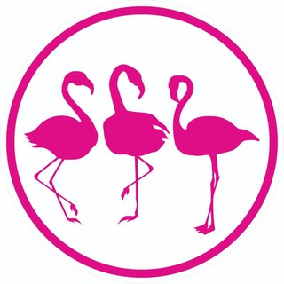 Логотип канала strana_flamingo