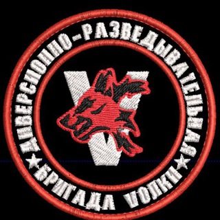 Логотип канала dro_wolves