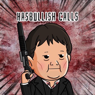 Логотип канала hasbullish_calls