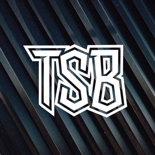 Логотип канала tsb_tg