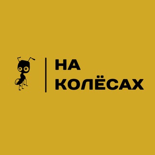 Логотип канала kolesaxx